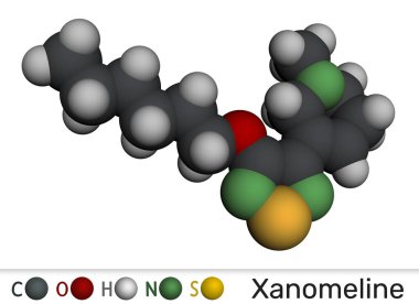 Xanomeline molekül. M1 ve M4 muskarinik reseptör agonisti Alzheimer hastalığı, şizofreni tedavisi için çalışmıştır. Moleküler model. 3B görüntüleme