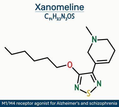 Xanomeline molekül. M1 ve M4 muskarinik reseptör agonisti Alzheimer hastalığı, şizofreni tedavisi için çalışmıştır. Vektör illüstrasyonu
