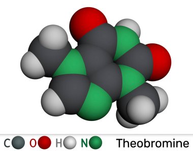 Theobromine molekülü. Çikolatada bulunan kakao alkaloidi. Moleküler model. 3 boyutlu görüntüleme. Görüntü