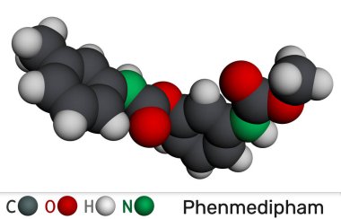 Fenmedipham molekülü. Tarımda seçici ot kontrolü için kullanılan karbamat bitki öldürücü. Moleküler model. 3 boyutlu görüntüleme. Görüntü
