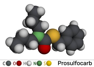 Prosulfocarb molekülü. Yıllık otları kontrol etmek için tarımda kullanılan tiyokarbamat bitki öldürücü. Moleküler model. 3 boyutlu görüntüleme. Görüntü