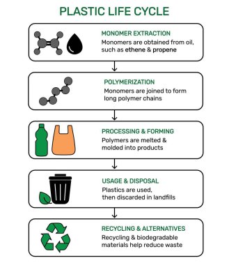 Monomer ekstraksiyon, polimerizasyon, işleme ve oluşum, kullanım ve imha, geri dönüşüm ve alternatiflerle plastik yaşam döngüsü bilgileri