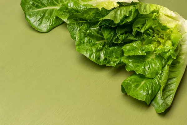 Green lettuce leaves on green background. Copy space. Flat lay.