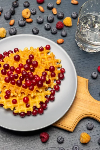 Cranberries Waffles Gray Plate Glass Water Berries Table Flat Lay Stock Image
