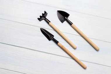 Beyaz arka planda bahçe aracı. Düz yatıyordu. Boşluğu kopyala