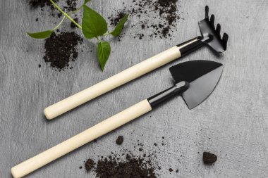 Tırmık ve kürek. Yeşil tohum ve toprak. Düz yatıyordu. Gri arkaplan.