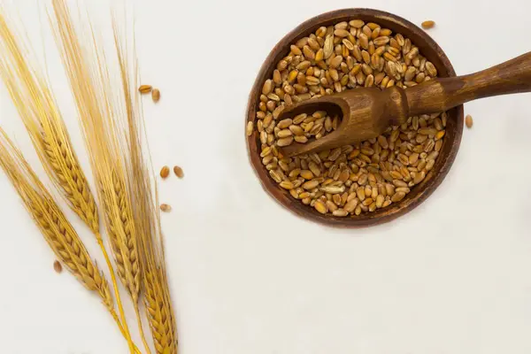 stock image Four spikelets of wheat, wooden spoons, a box with a grain of wheat