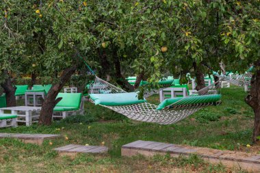 Yeşil yastıklı bir hamak bir elma bahçesindeki ağaçların arasında asılıdır. Elmalar ağaçlarda ve yerde. Çimlerin arasında tahta yol.