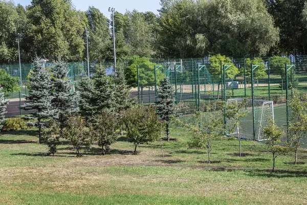 Şehir parkındaki spor mahkemesi. Spor sahasının etrafındaki ağaçlar.