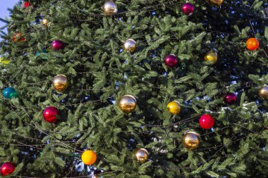 Noel ağacındaki renkli toplar. Çerçevenin bir parçası.