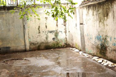 Kirli, nemli ve çok fazla yosun barındıran bir evin arka bahçesi çok eski ve korkutucu görünüyor.