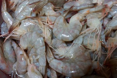 Tabakta pişmeye hazır taze karideslerin fotoğrafı.