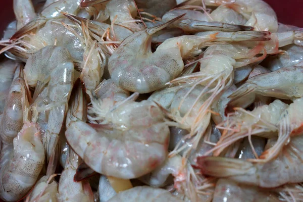 Photo Crevettes Crues Fraîches Sur Une Assiette Prête Cuire — Photo
