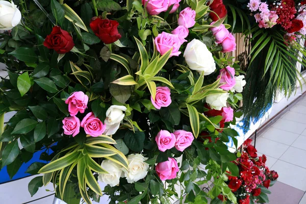 Fénykép Egy Kert Tele Színes Növények Virágok Egy Gyönyörű Kert — Stock Fotó