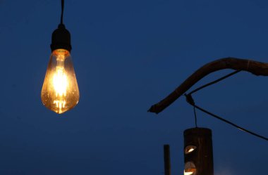 Kuru bir ağaca takılmış eşsiz bir lambanın fotoğrafı.