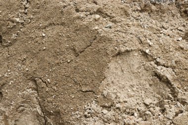 Arkaplan fotoğrafı veya kumun soyut dokusu