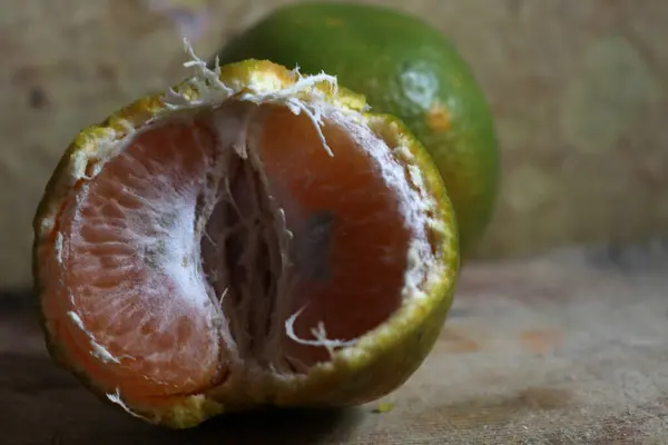 Sarımsı yeşil renkli taze Asya portakal meyvesi fotoğrafı.