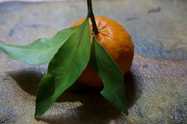 Bahçeden taze portakal fotoğrafı geldi.
