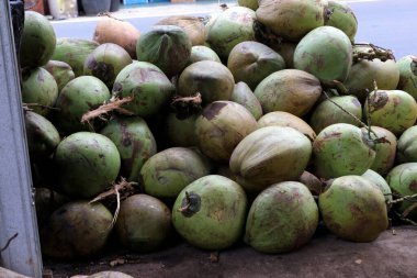 Sahildeki hindistan cevizi yığınının fotoğrafı. Hindistan cevizi suyu çok taze, sağlıklı ve tatlıdır.,