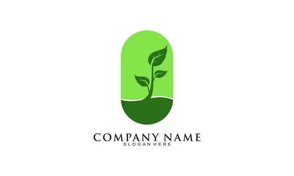 Wachstum Pflanze Illustration Vektor Logo — Stockvektor