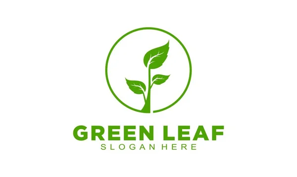 Green Plant Leaf Illustration Vector Logo — Stock Vector