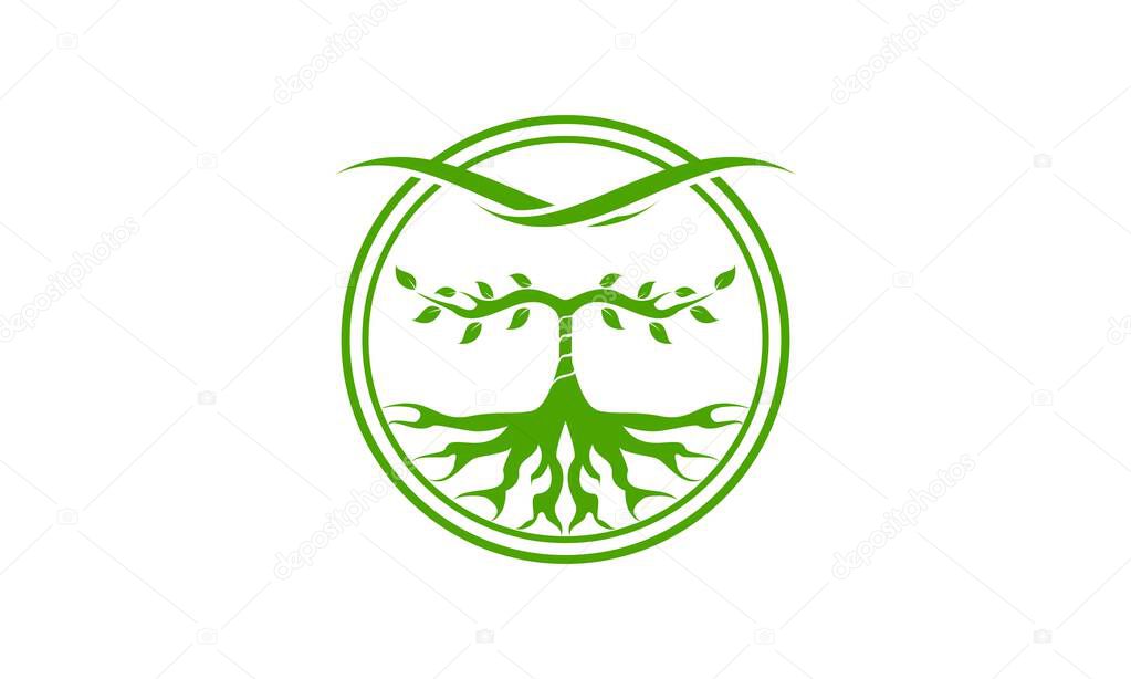 Botanicals roots icon vector logo