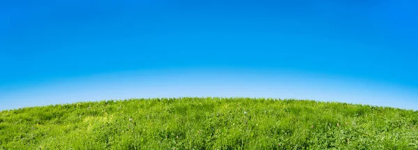 Зеленое Травяное Поле Голубом Фоне Неба — стоковое фото
