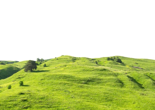 Yeşil çimen tepesi beyaz arka planda izole edilmiş panoramik manzara