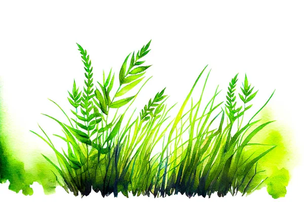 Akvarell Grönt Gräs Gräns Isolerad Vit Bakgrund — Stockfoto