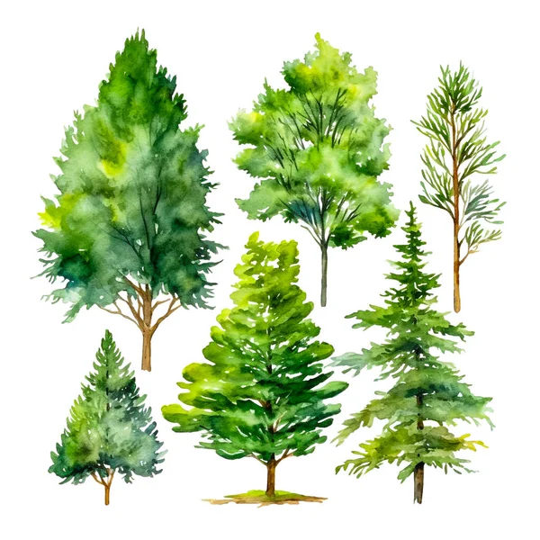 Akvarel Stromy Bílém Pozadí — Stock fotografie