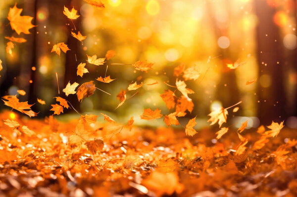Leaves falling in defocused autumn forest with bokeh