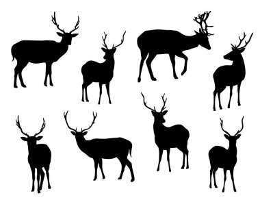 Geyik siluetleri beyaz arka planda izole edildi. Vektör illüstrasyonu