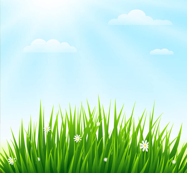 Nature background with green grass and blue sky. Vector illustration