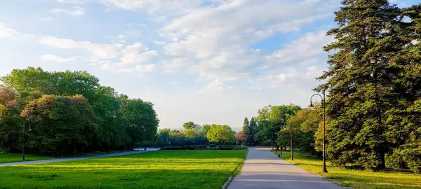 Mavi gökyüzü altında ağaçlar ve lambalar olan sessiz park yolu, Varna, Bulgaristan