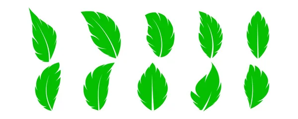 Uppsättning Gröna Blad Ikonen Gröna Blad Ikoner — Stock vektor