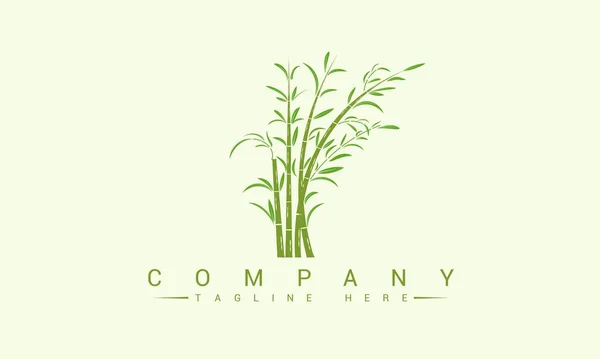 Plantilla Logotipo Bambú Árboles Bambú Verde Vector Diseño — Vector de stock