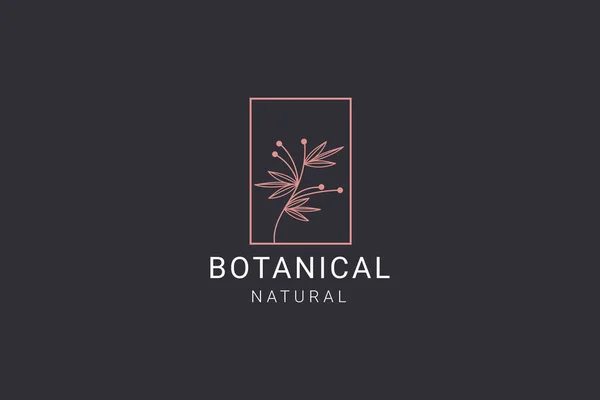Illustration Icône Vectorielle Logo Feuille Naturelle Botanique — Image vectorielle