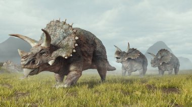 Bir grup triceratops vadide yürüyor. Bu 3 boyutlu bir çizim. .