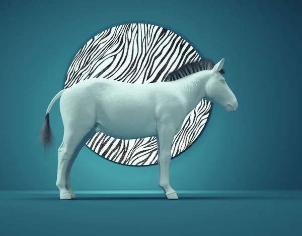 Zebra Texture Behaviour Change Open Minded Concept Render Illustration — Stock Photo, Image