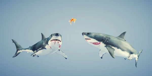 Two Sharks Looks Golden Fish Confidence Concept Render Illustration — Stock Photo, Image