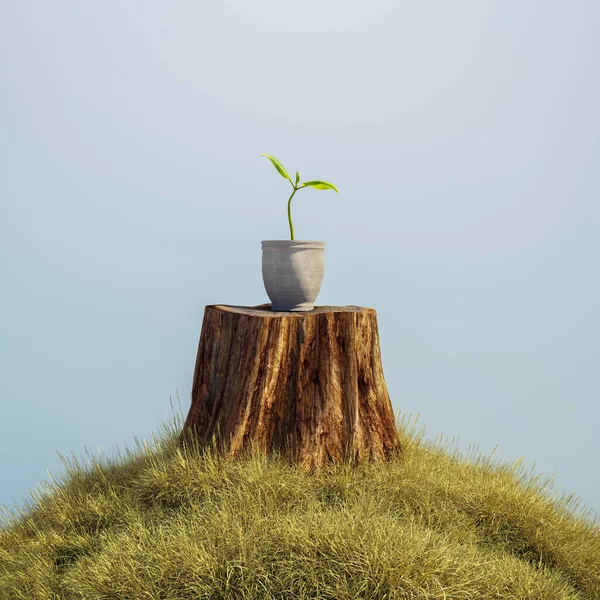 Log with a small plant growing over it . Starting over and believe in the process concept . This is a 3d render illustration .