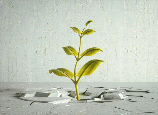 Plant grows up from concrete . Mindset and attitude concept . This is a 3d render illustration.