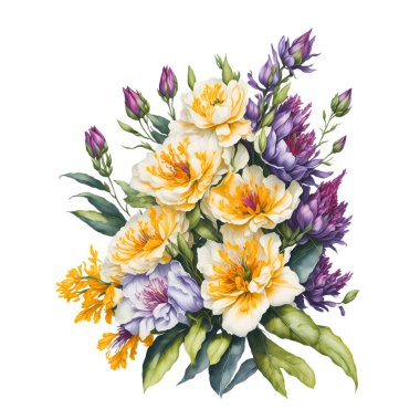 Şeffaf arkaplanda suluboya çiçekler ve yapraklar 