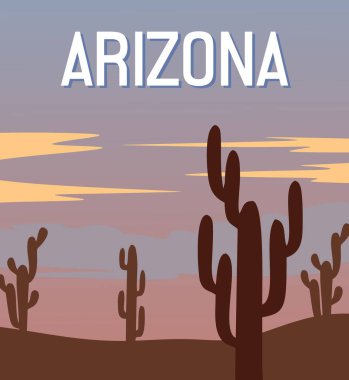 Arizona Eyaleti Amerika Birleşik Devletleri