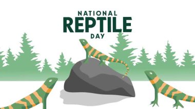 Sürüngenlerin Farkındalık Günü 'nüz kutlu olsun.