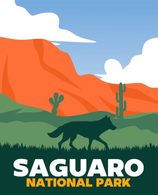 Saguaro Milli Parkı. Güzel doğal manzaralı.