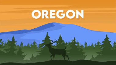 Oregon Eyaleti ve güzel orman manzarası