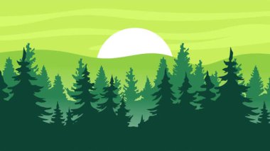 Orman manzaralı bir sürü ağaç