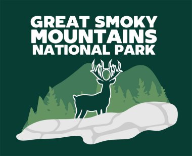 Great Smoky Dağları Ulusal Parkı 'nın güzel manzarası