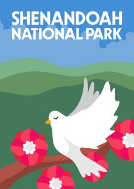 Shandoah Milli Parkı 'nın güzel manzarası. Güzel gökyüzü ve doğa.